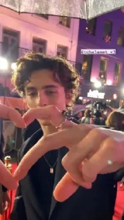 Sticker from KS timmy chalamet 🙂♥️