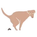 Sticker from Snow Animated