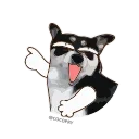 Sticker from Snow Animated