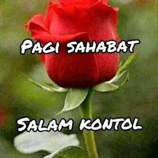 Sticker from penis(pede dan narsis