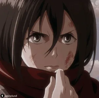 Sticker from Mikasa