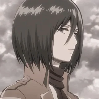 Sticker from Mikasa