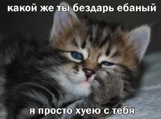 🤍 emoji канал @ovoshehranilishe Telegram sticker 15 of 45
