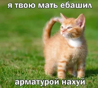 🤍 emoji канал @ovoshehranilishe Telegram sticker 14 of 45