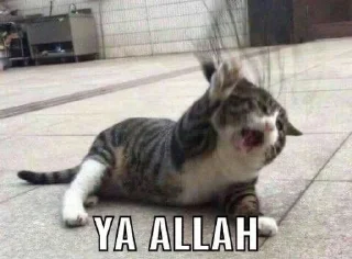 🌟 emoji gatau ini apa sksksksk || itz pack by @QuotLyBot Telegram sticker 11 of 120