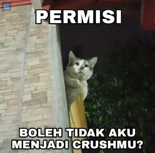 🌟 emoji gatau ini apa sksksksk || itz pack by @QuotLyBot Telegram sticker 15 of 120