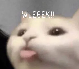 🌟 emoji gatau ini apa sksksksk || itz pack by @QuotLyBot Telegram sticker 1 of 120