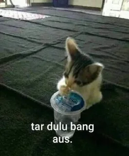 🌟 emoji gatau ini apa sksksksk || itz pack by @QuotLyBot Telegram sticker 22 of 120