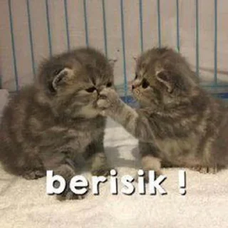🌟 emoji gatau ini apa sksksksk || itz pack by @QuotLyBot Telegram sticker 18 of 120