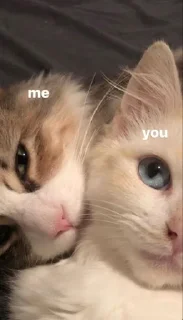 🌟 emoji gatau ini apa sksksksk || itz pack by @QuotLyBot Telegram sticker 8 of 120