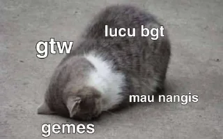 🌟 emoji gatau ini apa sksksksk || itz pack by @QuotLyBot Telegram sticker 9 of 120