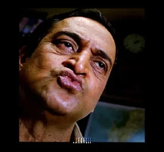 ✔️ emoji Sidhesh chi puchi Telegram sticker 17 of 76