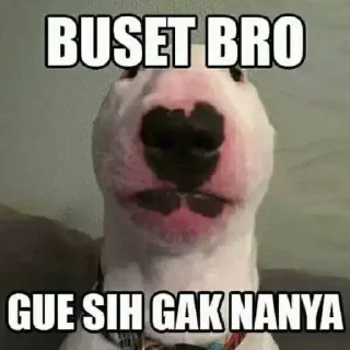 Sticker from udah sok asik, sok jago pula