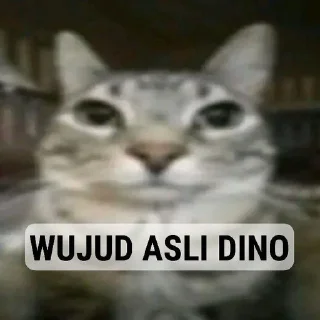 Sticker from Bot