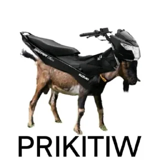 Sticker from kk
