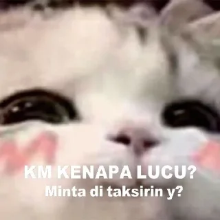 Sticker from Cute Cat
