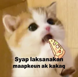 Sticker from Cute Cat