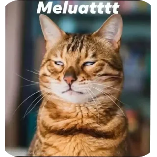🐱 emoji Randoms Telegram sticker 19 of 99