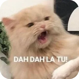 🤲 emoji Randoms Telegram sticker 23 of 99