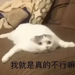 Sticker from 咖喱给给 @AGOOK