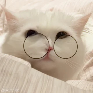 👀 emoji @Chichii_07 's sticker pack Telegram sticker 1 of 49
