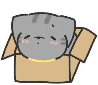 ⭐ emoji doodle baby cat @stickieri Telegram sticker 19 of 24