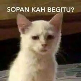 😑 emoji Dimas Telegram sticker 6 of 38