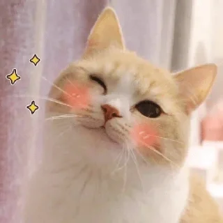 😉 emoji jelly's knackpack — @stckrRobot Telegram sticker 17 of 120