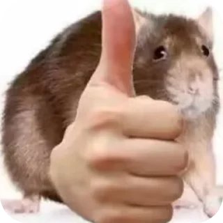 👍 emoji 白兔的贴纸包 Telegram sticker 9 of 82