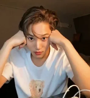 Sticker from Kai exo
