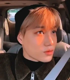 Sticker from Kai exo