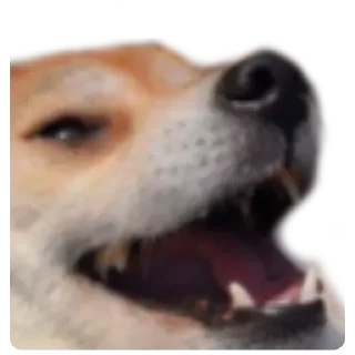 😆 emoji @amartya's kang pack Vol.1 Telegram sticker 2 of 41