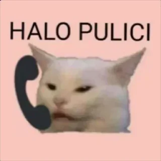📞 emoji @DISTURBCODER's kang pack Vol.1 Telegram sticker 6 of 109