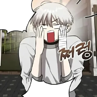 🚩 emoji R & J Telegram sticker 23 of 40