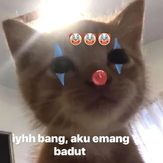 🌟 emoji PAWIIIIII pack by @QuotLyBot Telegram sticker 22 of 120