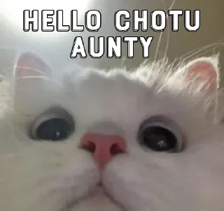 🙂 emoji ✖‿✖•៚̶𝑲̶̶𝒊̶̶𝒓̶̶𝒊̶ ̶𝒕̶̶𝒉̶̶𝒆̶ ̶𝒌̶̶𝒊̶̶𝒏̶̶𝒈̶ ̶𝒐̶̶𝒇̶ ̶𝑹s kang pack Telegram sticker 23 of 36