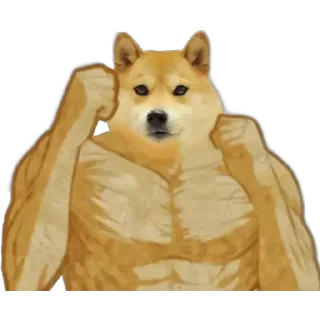 😂 emoji 𝘾𝙝𝙚𝙚𝙢𝙨 𝙤𝙥 ᵇʸ 🇸 🇦 🇫 🇮 🇺 🇱 🇱 🇦 🇭  @Teton_XD ㅤ — @stckrRobot Telegram sticker 21 of 92