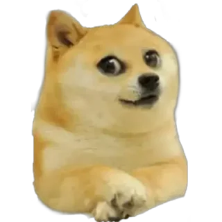 😂 emoji 𝘾𝙝𝙚𝙚𝙢𝙨 𝙤𝙥 ᵇʸ 🇸 🇦 🇫 🇮 🇺 🇱 🇱 🇦 🇭  @Teton_XD ㅤ — @stckrRobot Telegram sticker 22 of 92