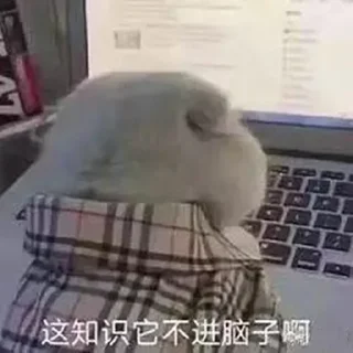 Sticker from 兔几爱萝卜