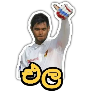 👍 emoji HIT CRICKET @hitcricket_news Telegram sticker 17 of 47