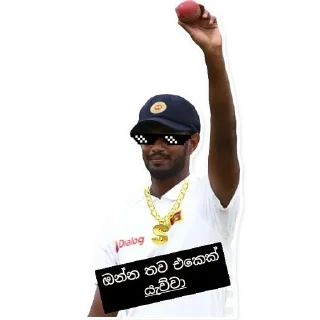 🤘 emoji HIT CRICKET @hitcricket_news Telegram sticker 24 of 47