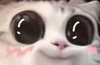 🥺 emoji 防sᴇʀᴀs kang pack Telegram sticker 9 of 90