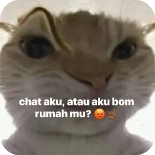 🐱 emoji melodiy Telegram sticker 16 of 105
