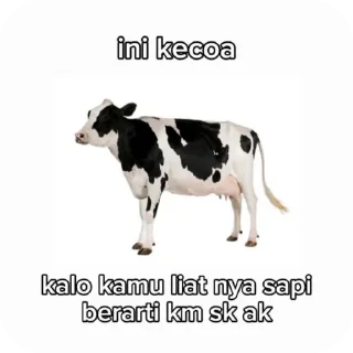 🐄 emoji melodiy Telegram sticker 14 of 105