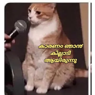 🤓 emoji [ ɪᴛs ᴍᴇ ] 🇵𝐫𝐚𝐧𝐚𝐯 🇬𝐩 ✨🕊️🇮🇳 @The_smashkid — @stckrRobot Telegram sticker 6 of 84
