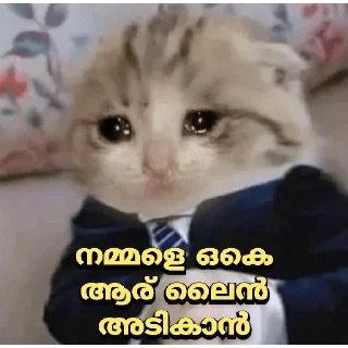 🥺 emoji [ ɪᴛs ᴍᴇ ] 🇵𝐫𝐚𝐧𝐚𝐯 🇬𝐩 ✨🕊️🇮🇳 @The_smashkid — @stckrRobot Telegram sticker 5 of 84