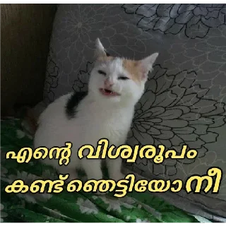 😂 emoji [ ɪᴛs ᴍᴇ ] 🇵𝐫𝐚𝐧𝐚𝐯 🇬𝐩 ✨🕊️🇮🇳 @The_smashkid — @stckrRobot Telegram sticker 12 of 84