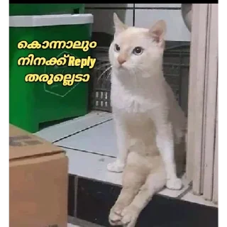 😏 emoji [ ɪᴛs ᴍᴇ ] 🇵𝐫𝐚𝐧𝐚𝐯 🇬𝐩 ✨🕊️🇮🇳 @The_smashkid — @stckrRobot Telegram sticker 10 of 84