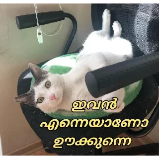 😂 emoji [ ɪᴛs ᴍᴇ ] 🇵𝐫𝐚𝐧𝐚𝐯 🇬𝐩 ✨🕊️🇮🇳 @The_smashkid — @stckrRobot Telegram sticker 21 of 84