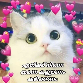 😂 emoji [ ɪᴛs ᴍᴇ ] 🇵𝐫𝐚𝐧𝐚𝐯 🇬𝐩 ✨🕊️🇮🇳 @The_smashkid — @stckrRobot Telegram sticker 2 of 84